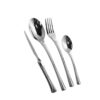 Dessini Stainless Steel Cutlery Set With Luxury Box 3003 Silver 148 Pcs